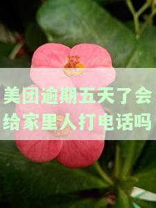 美团逾期五天了会给家里人打电话吗