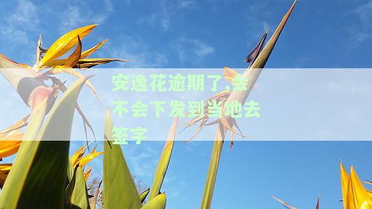 安逸花逾期两个月，资料移交当地部门