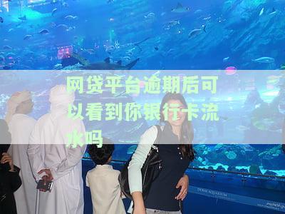 网贷平台逾期后可以查看银行卡流水吗？