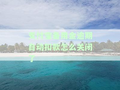 支付宝备用金逾期关闭通道多久会恢复正常？