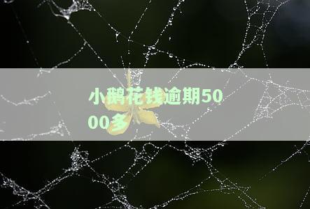 小鹅花钱逾期5000多