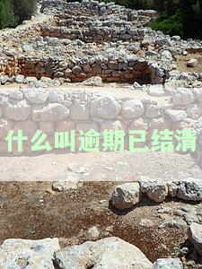 逾期已结清是什么意思？长度不能大于70个字节。