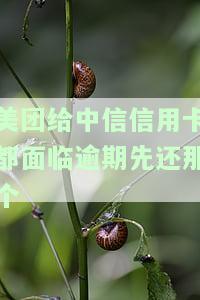 美团的信用卡还款是什么意思及相关信息