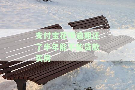 支付宝花呗逾期半年,还完后,影不影响贷款，还款后多久可以再使用？