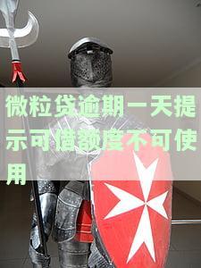微粒贷逾期一天提示可借额度不可使用怎么回事