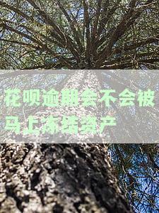 花呗逾期会被有关机关冻结支付宝吗？如何解冻？