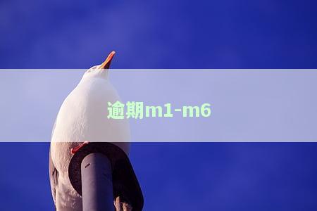 逾期m1-m2代表逾期m1 m2 m3是什么意思