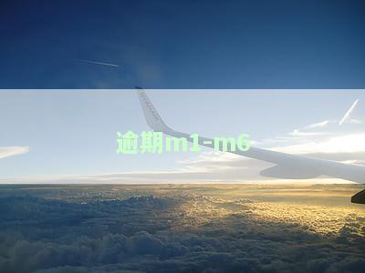 逾期m1-m6