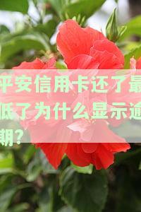 平安信用卡最低还款逾期一天原因分析