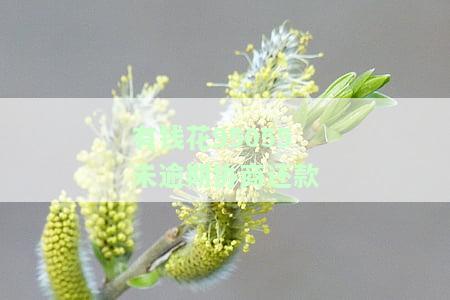 有钱花协商还款技巧及成功案例