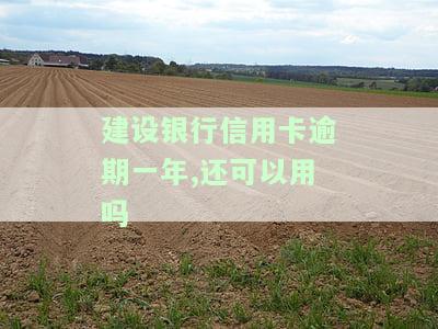 建行逾期一年多还进去，还了还能刷出来不，显示有额度，影响征信记录吗？