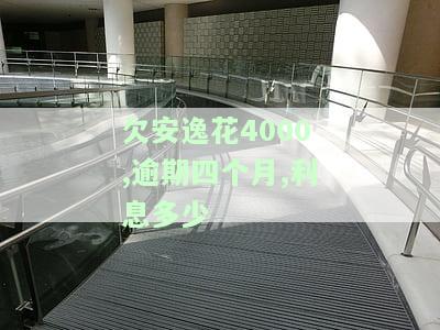 安逸花逾期四个月没有电话了是什么情况，会不会给家里打电话，真的回去吗？