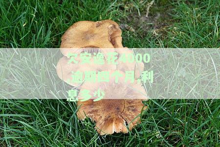 欠安逸花4000,逾期四个月,利息多少