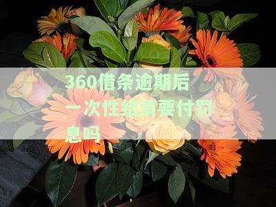 逾期要求一次性还清怎么办，应找谁还款？