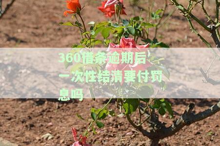 逾期后全款还清,可以减免利息吗？安全吗？