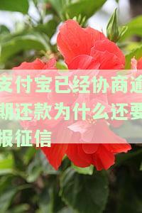 支付宝协商还款影响征信吗？怎么办？是否有成功案例？