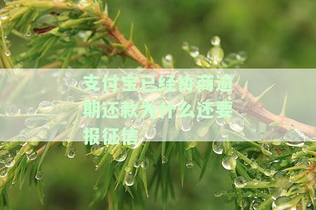 支付宝逾期协商不同意后的违约追责及解决方案