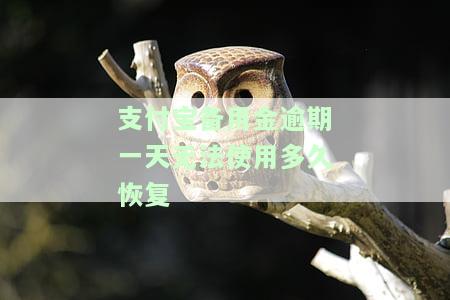 支付宝备用金逾期一天无法使用多久恢复征信