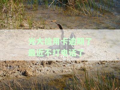 光大信用卡逾期了最近不打电话了怎么回事？