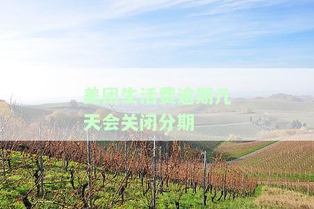 美团生活费逾期几天会关闭分期付款服务？