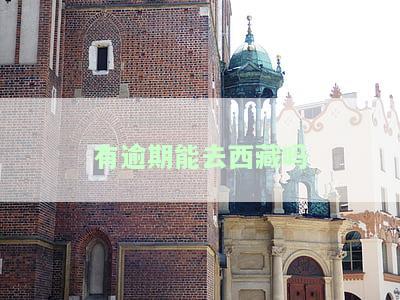 征信逾期可以出国旅游吗，有影响吗？