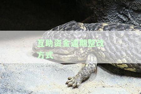 互助资金逾期整改方式有几种方法