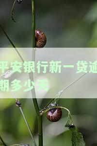 平安银行新一贷逾期一天会上征信吗及处理方法
