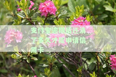 支付宝逾期后还清多久才能申请信用卡借钱及恢复征信？