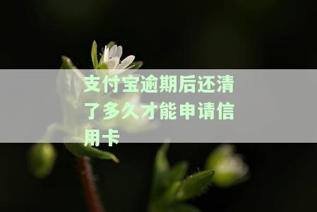 支付宝逾期后还清了多久才能恢复信用记录和额度