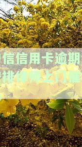 中信银行逾期起诉我了，怎么办？