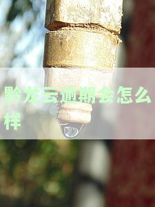 黔龙云上面有50000额度，贷款步骤、征信、申请、一年后利息