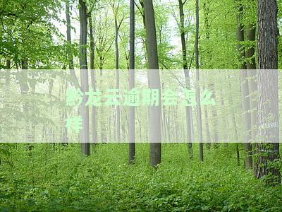 黔龙云贷款看征信吗，安全吗？步骤及如何还利息