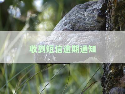 收到短信逾期通知，未借款无逾期