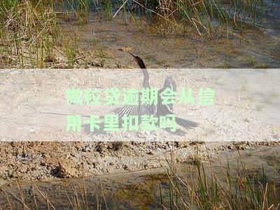 微粒贷逾期会从信用卡里扣款吗怎么办理停止自动扣款？