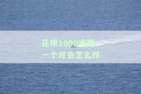 花呗1000逾期不还款有什么后果_经验及处理方法