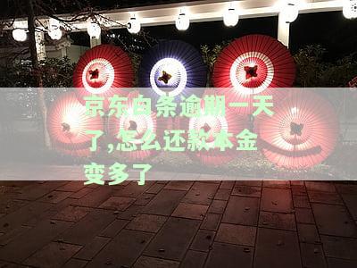 逾期一天钱还了能提出来吗？