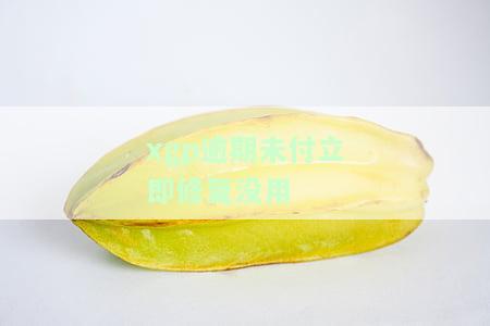 XGP欠费后会怎样，是否会再自动扣？