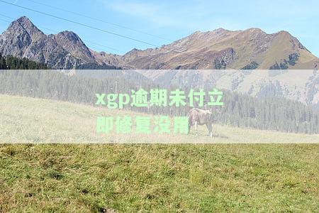 xgp逾期未付立即修复没用