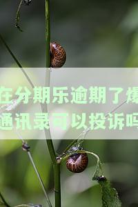 分期乐逾期25天爆通讯录，联系官方客服并解决问题