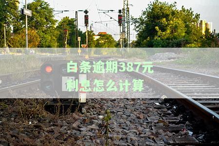 白条逾期费用计算及减免，费用多少能减免？