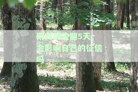 网商贷逾期5天后还款要多久才能再用，网商贷逾期三到五天有事吗