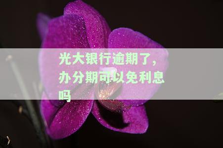 光大银行逾期了,办分期可以免利息吗