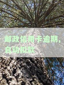 邮政信用卡逾期，如何取消自动扣款？