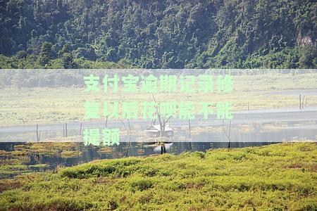 支付宝逾期修复了会上征信吗？怎么办？