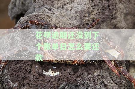 花呗没到还款时间影响征信吗及对应解决方法