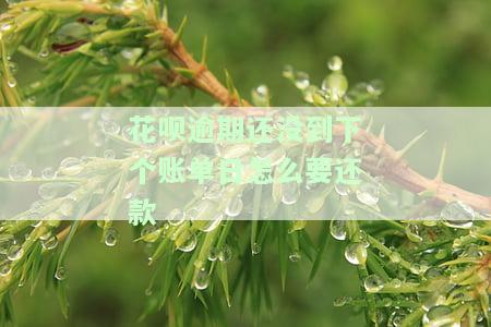花呗已逾期但是我今天看已还款，逾期欠款已还清，但花呗还是不能用该怎么办？