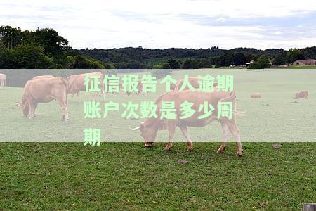 征信报告个人逾期账户次数是多少周期的，个人征信发生过逾期的账户数5个