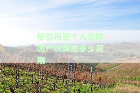 征信报告逾期账户数是否永久存在