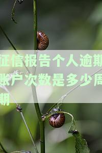 征信发生过逾期的账户数7个严重吗，为什么是红色？