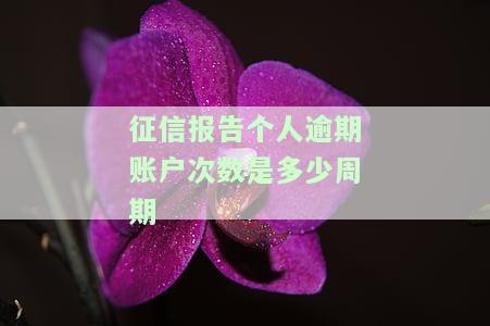 征信报告个人逾期账户次数是多少周期